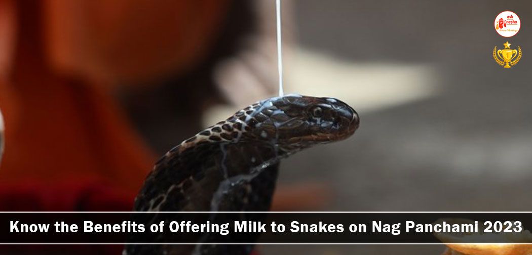Know the Benefits of Offering Milk to Snakes on Nag Panchami 2023