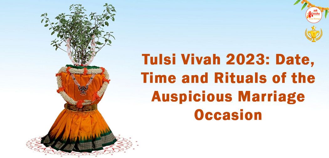 Tulsi Vivah 2023: Date, Time and Rituals of the Auspicious Marriage Occasion 