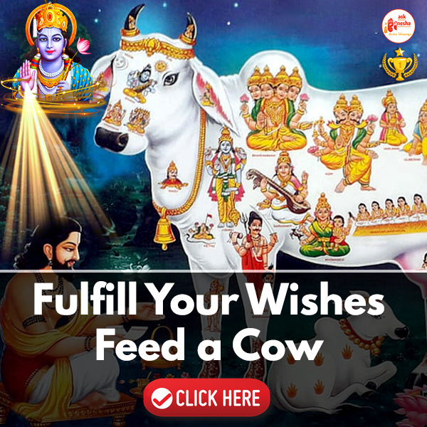 Krishna Cow Feeding