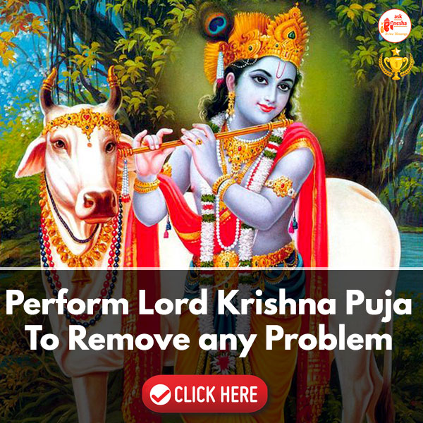 Lord Krishna Pic