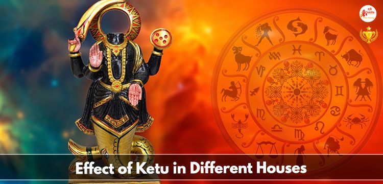 Effect of Ketu in Different Houses