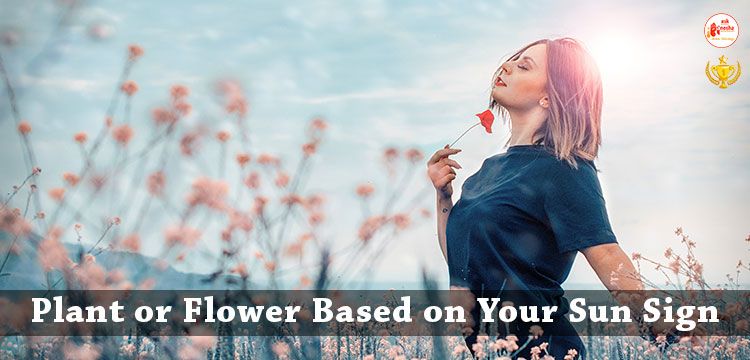 Plant or Flower based on your Sun sign