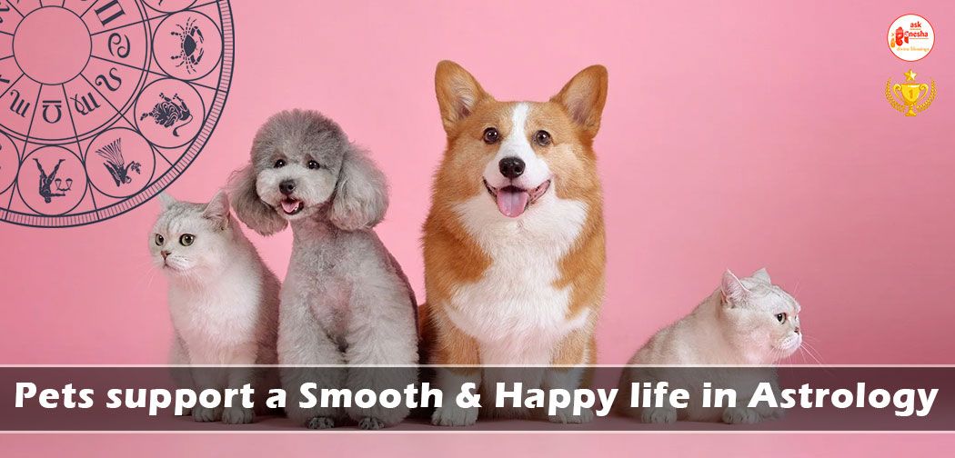 Pets in Astrology