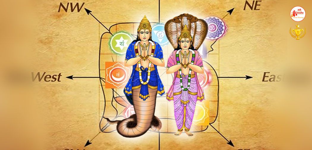 Vastu Shastra for Rahu Ketu Area in House