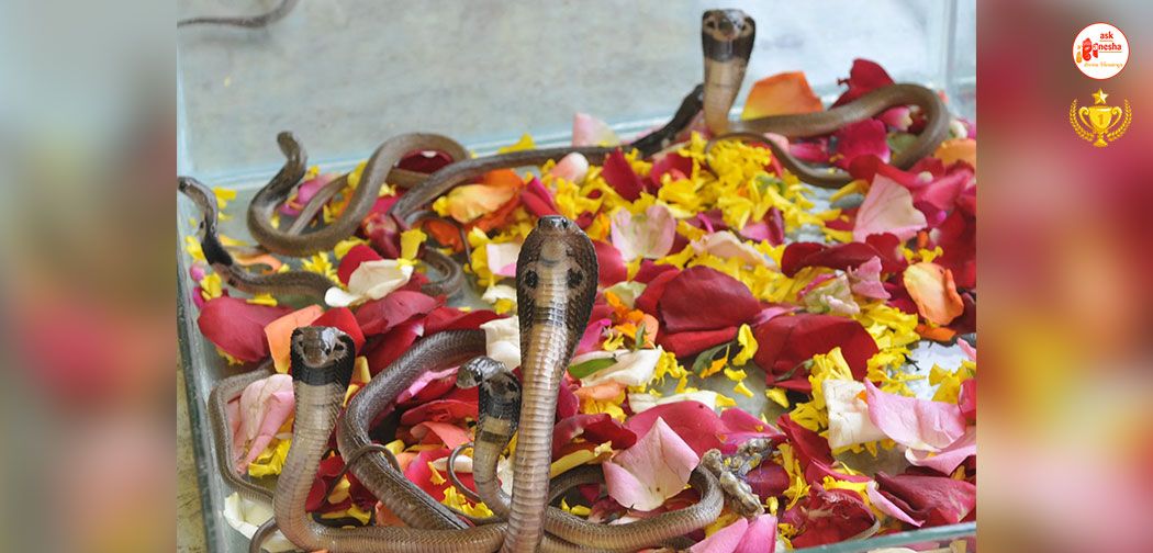 Why Snakes are worshipped in Hinduism?