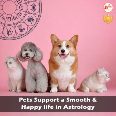 Pets in Astrology