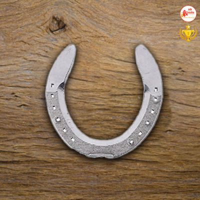 The Horseshoe Astrology- Bring Good Luck and Prosperity